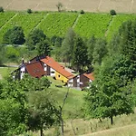 Charmantes In Skigebietsnaehe