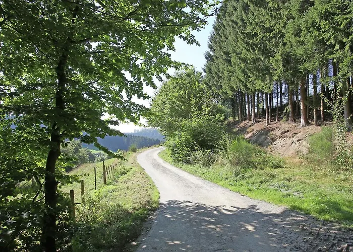 Ferienhaus Charmantes In Skigebietsnaehe Schmallenberg