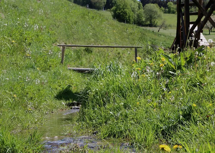 Charmantes In Skigebietsnaehe Schmallenberg