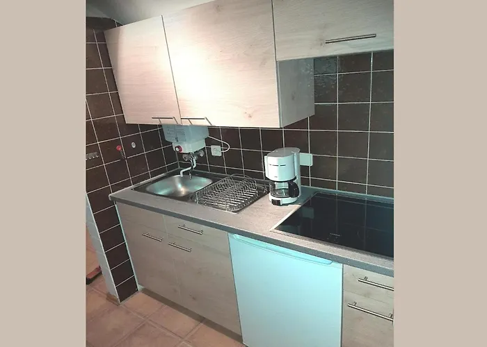 Ferienhaus Charmantes In Skigebietsnaehe