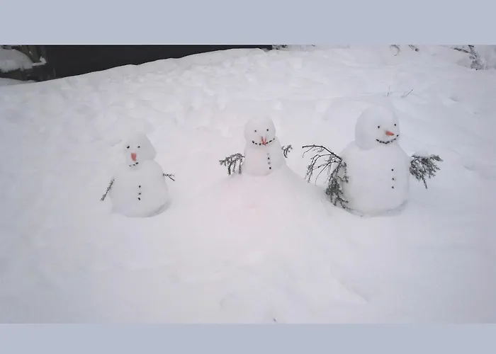 Ferienhaus Charmantes In Skigebietsnaehe